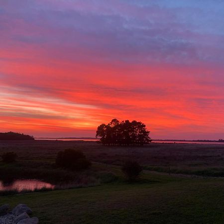 Pelican Point Sanctuary 세인트헬렌 외부 사진