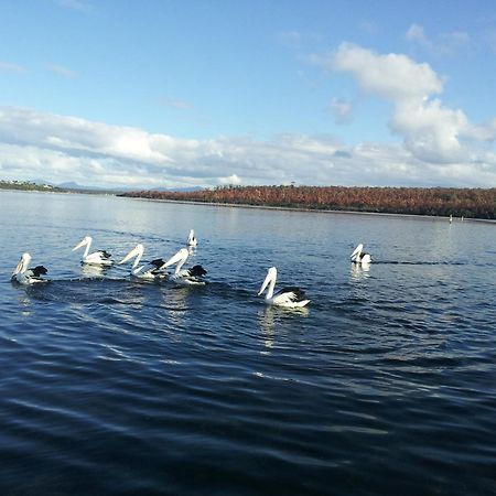 Pelican Point Sanctuary 세인트헬렌 외부 사진