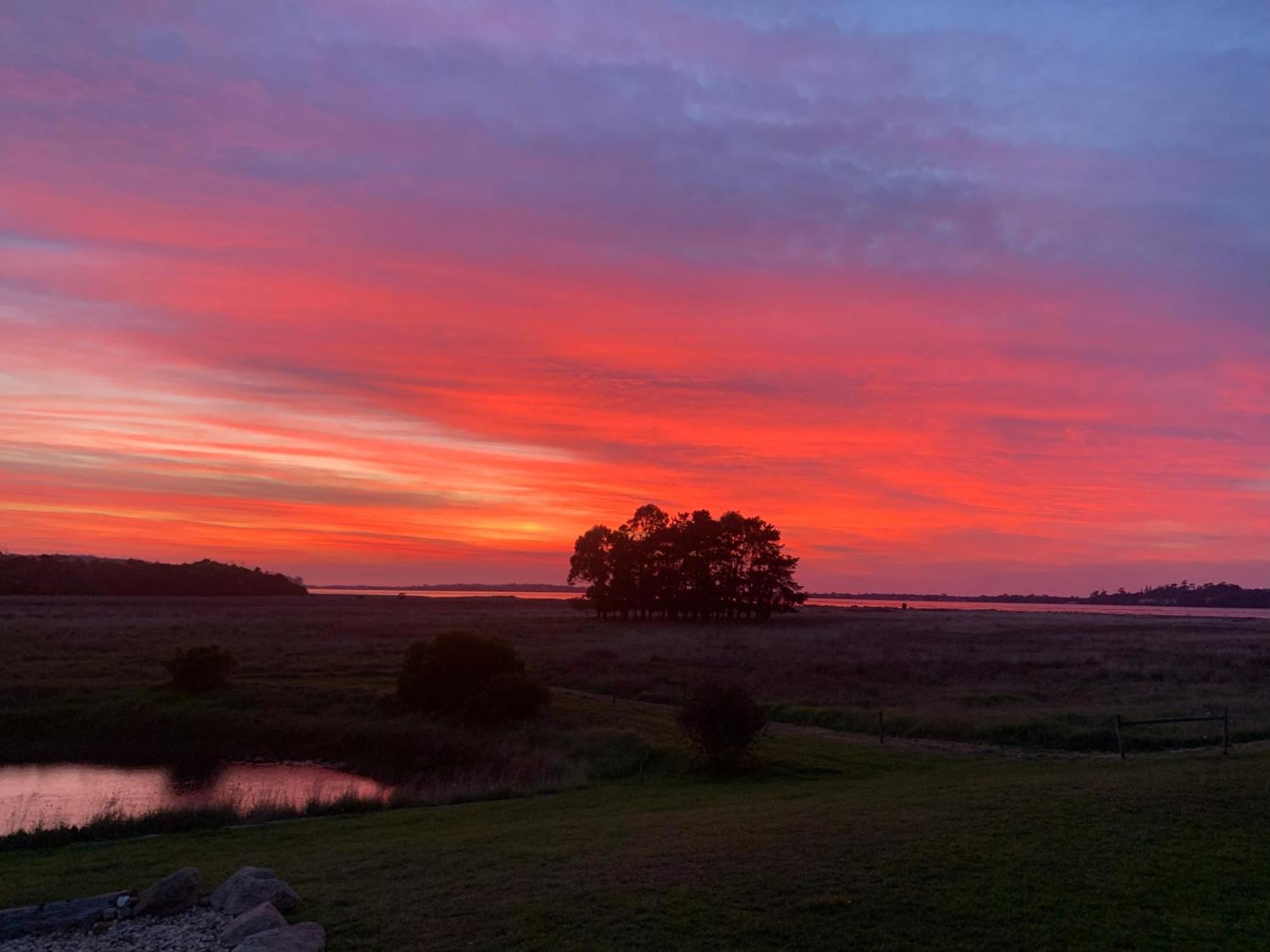 Pelican Point Sanctuary 세인트헬렌 외부 사진