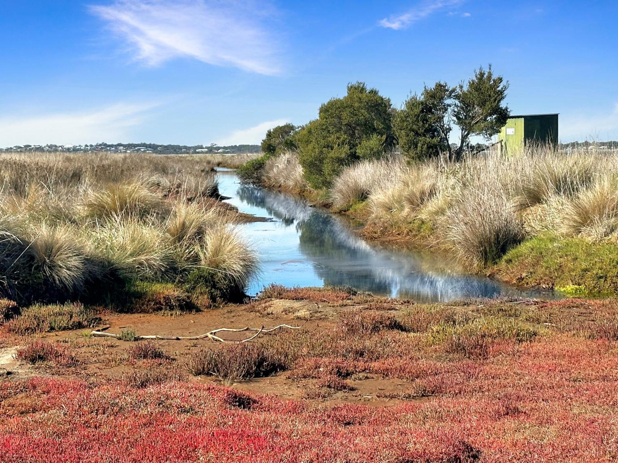 Pelican Point Sanctuary 세인트헬렌 외부 사진