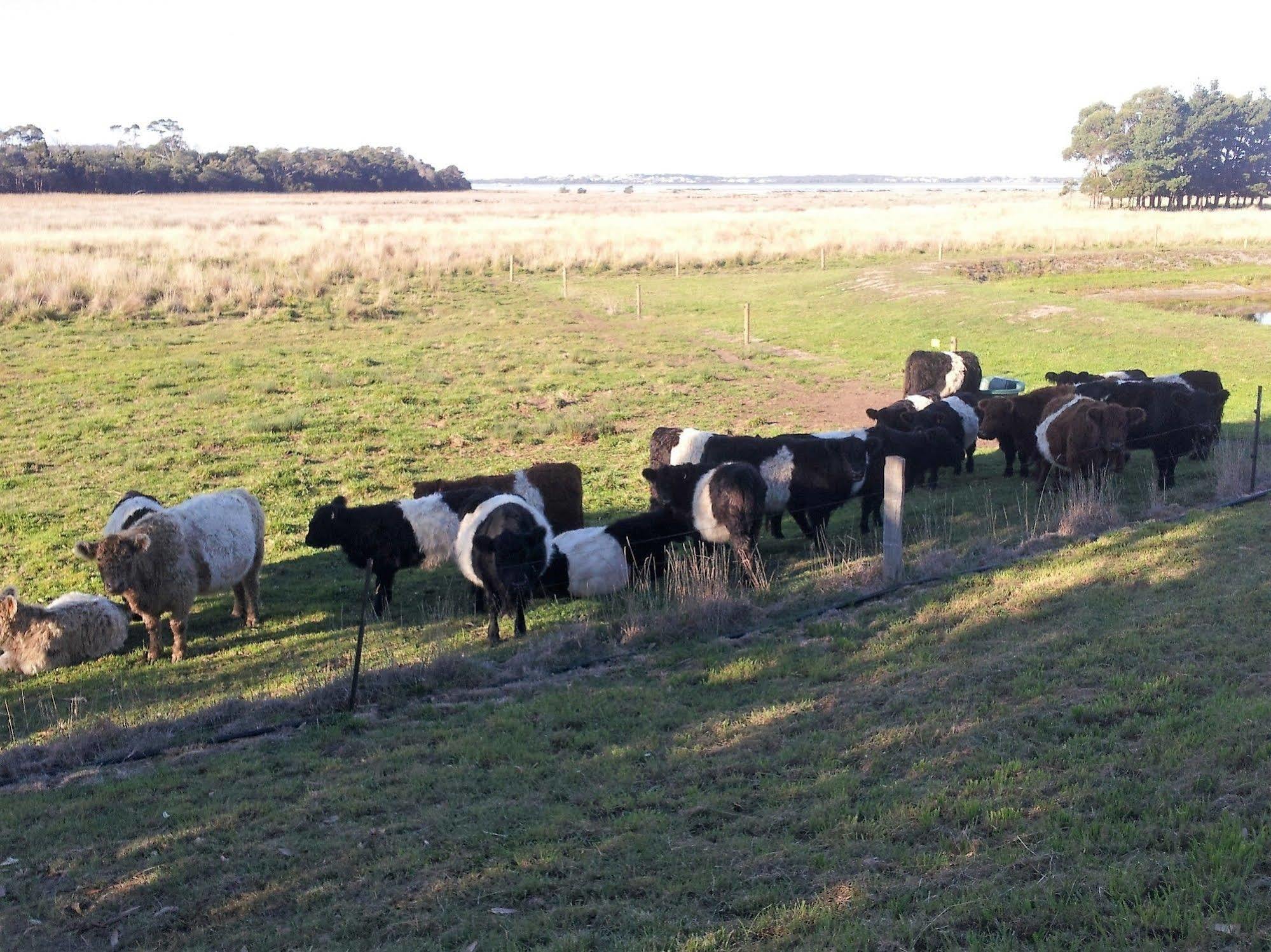 Pelican Point Sanctuary 세인트헬렌 외부 사진